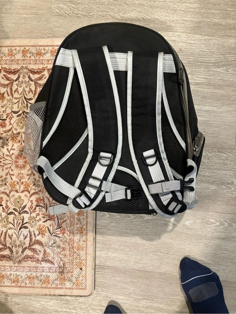 Clear back pack pet carrier